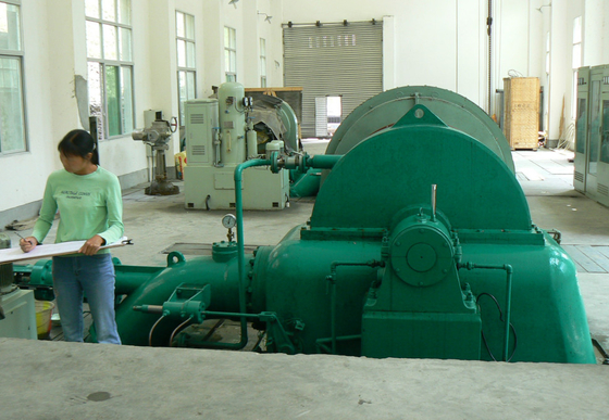 диаметр бегуна генератора турбины 0.6m воды 500kw вертикальный Pelton