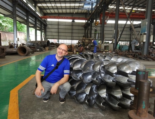 Небольшое горизонтальное бегуна 800KW колеса Pelton турбины подачи вертикальное